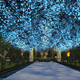 Image for article titled Dying Boy Gets His Own Personal Virtual Wonderland Built by a Game Community in Just Four Days